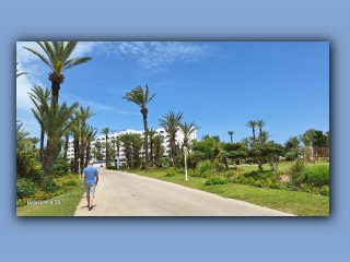 Tunisian 2025 (10).jpg